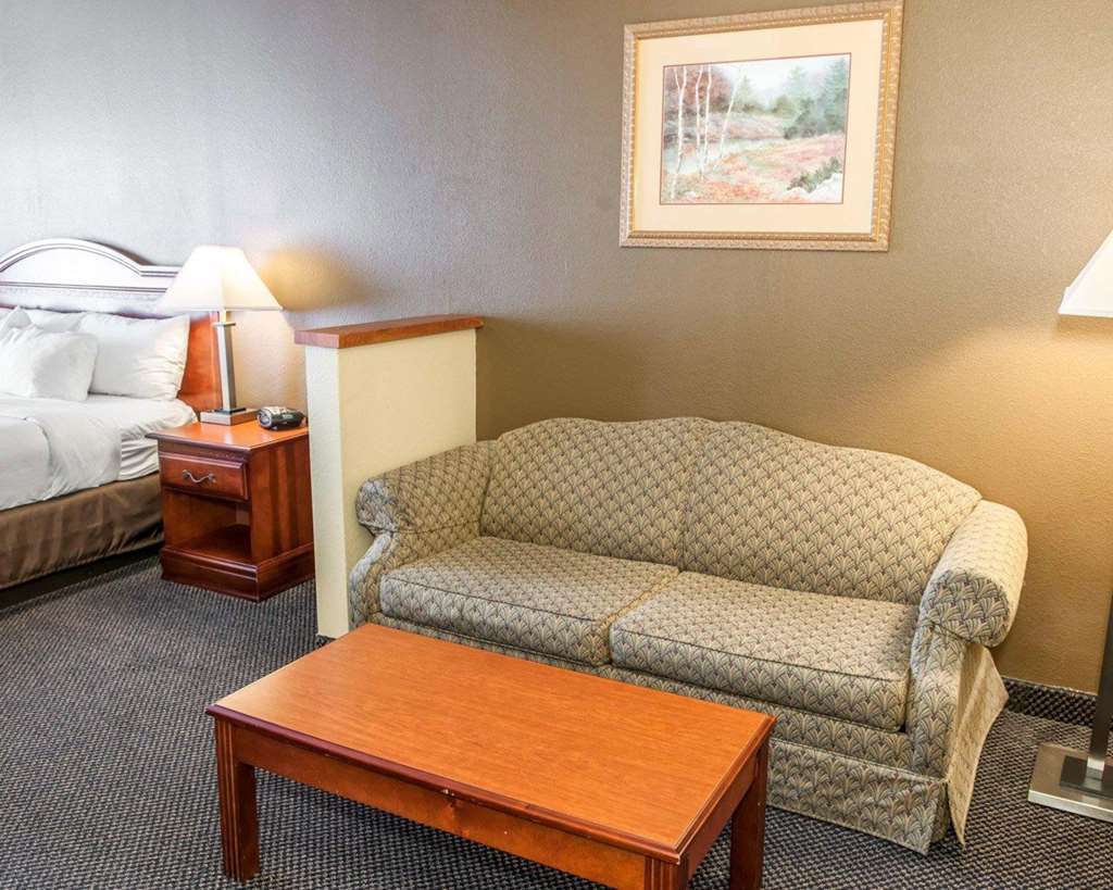 Comfort Suites Auburn Near I-69 Quarto foto